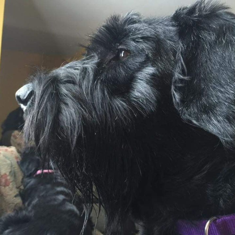 Meet your Posher, Shelly